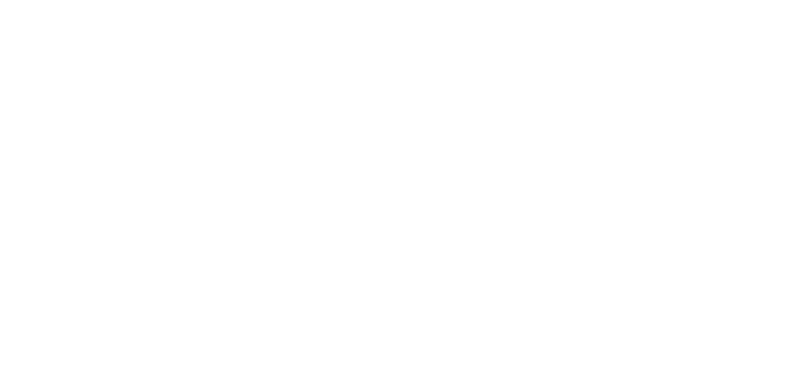 ALIEVA
